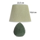 Настольная лампа с абажуром RISALUX «Инесса», Е14, 40 Вт, зелёный, 22.5×22.5×33.5 см - Фото 7