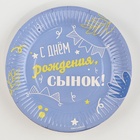 Тарелка одноразовая бумажная «Сынок», 18 см, МИКС (комплект 20 шт) - фото 31253037 Тарелка одноразовая бумажная «Сынок», 18 см, МИКС (комплект 20 шт) - фото 31253037