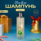 Шампунь для волос «Secret Beauty», аромат морозной мяты, золотая серия, 250 мл 10854036 - фото 12935283