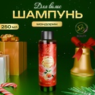 Шампунь для волос «Secret Beauty», аромат мандарина, красная серия, 250 мл - фото 322314266