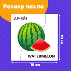Пазлы половинки «Изучаем фрукты», 20 элементов - Фото 3