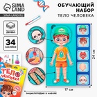 Обучающий набор «Тело человека», рамка-вкладка и книга с наклейками - Фото 1
