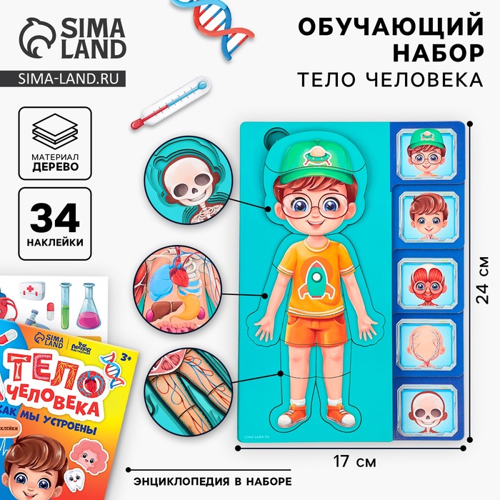 Обучающий набор «Тело человека», рамка-вкладка и книга с наклейками - Фото 1