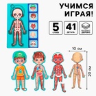 Обучающий набор «Тело человека», рамка-вкладка и книга с наклейками - Фото 2