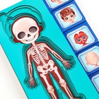 Обучающий набор «Тело человека», рамка-вкладка и книга с наклейками - Фото 11