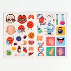 Обучающий набор «Тело человека», рамка-вкладка и книга с наклейками - Фото 12