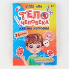 Обучающий набор «Тело человека», рамка-вкладка и книга с наклейками 10326645 - фото 1991739