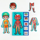 Обучающий набор «Тело человека», рамка-вкладка и книга с наклейками - Фото 7