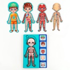 Обучающий набор «Тело человека», рамка-вкладка и книга с наклейками - Фото 9