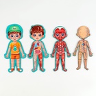 Обучающий набор «Тело человека», рамка-вкладка и книга с наклейками - Фото 10