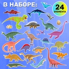 Магнитная игра «Эра динозавров», 4 игровых поля, 24 элемента - Фото 3