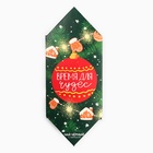 Чай новогодний «Время для чудес», вкус: чабрец, 20 г - Фото 4