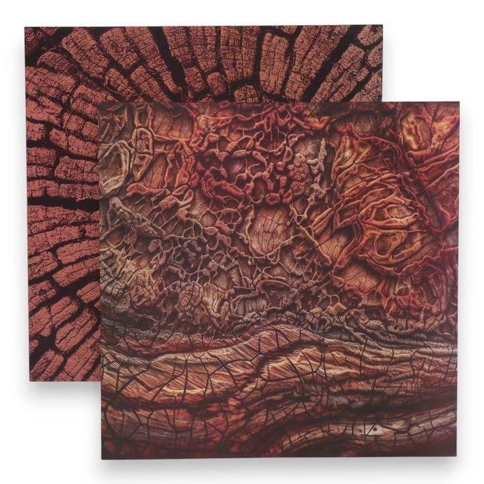 Фотофон для съёмок, двусторонний, картон, плотность 350 г «Дерево», 50×50 см - Фото 1