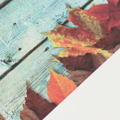 Фотофон для съёмок, двусторонний, картон, плотность 350 г «Осенние листья», 50×50 см