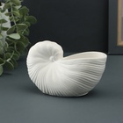 Ваза «Ракушка», 8×13×7 см, гипс, белая - фото 31125607