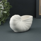 Ваза «Ракушка», 8×13×7 см, гипс, белая - фото 31125608