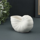 Ваза «Ракушка», 8×13×7 см, гипс, белая - фото 31125609