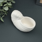 Ваза «Ракушка», 8×13×7 см, гипс, белая - фото 31125610