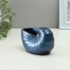 Гипсовая ваза декоративная настольная «Ракушка», для цветов, сухоцветов, 8×13х7см, тёмно-синий - фото 31125614