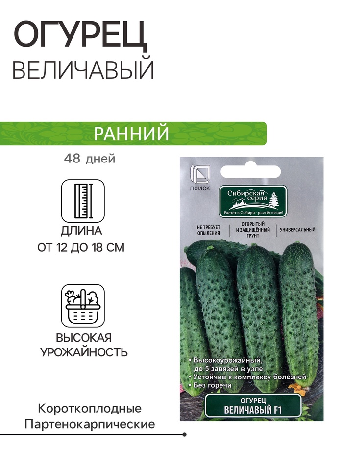 Семена Огурец «Величавый», F1, 12 шт., «ПОИСК» - Фото 1
