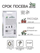 Семена Огурец «Величавый», F1, 12 шт., «ПОИСК» - Фото 2