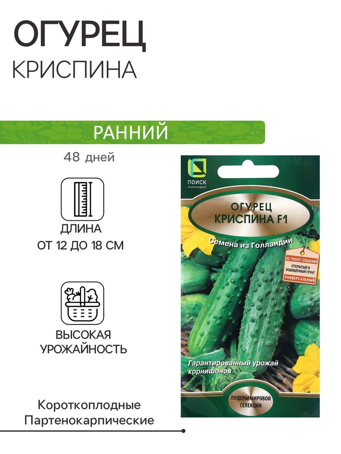 Семена Огурец Криспина, F1, 12шт