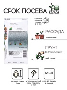 Семена Огурец Рекорд, F1, 12шт 10849767 - фото 16248273