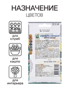 Семена цветов Аквилегия гибридная Желтая звезда, 0,05гр 10849803 - фото 16450744