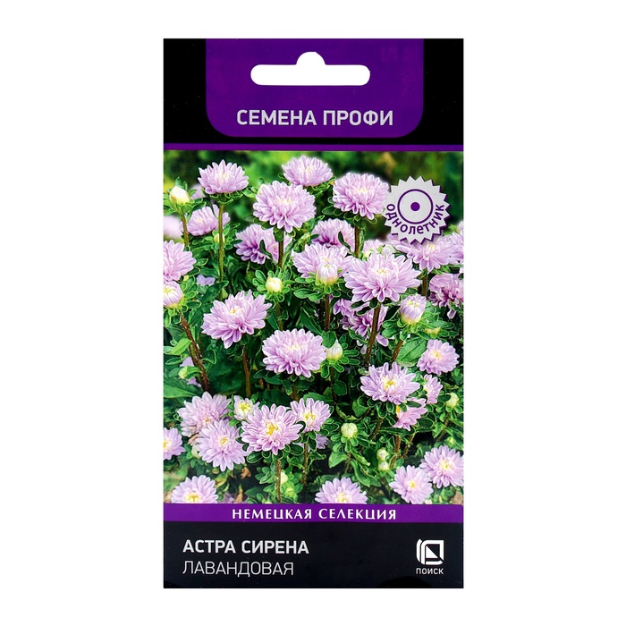 Семена цветов Астра Сирена Лавандовая, 0,05гр - Фото 1