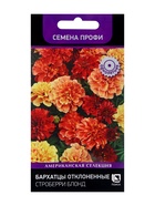 Семена цветов Бархатцы отклоненные Строберри Блонд, 10шт - Фото 1