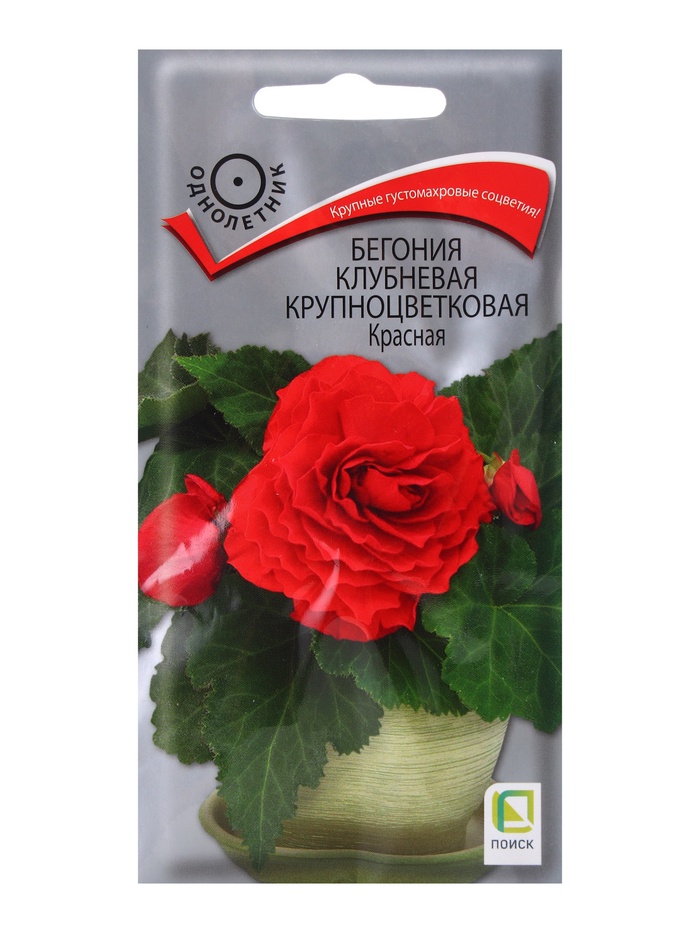 Семена цветов Бегония клубневая крупноцветковая, красная, 5 шт., «Поиск» - Фото 1