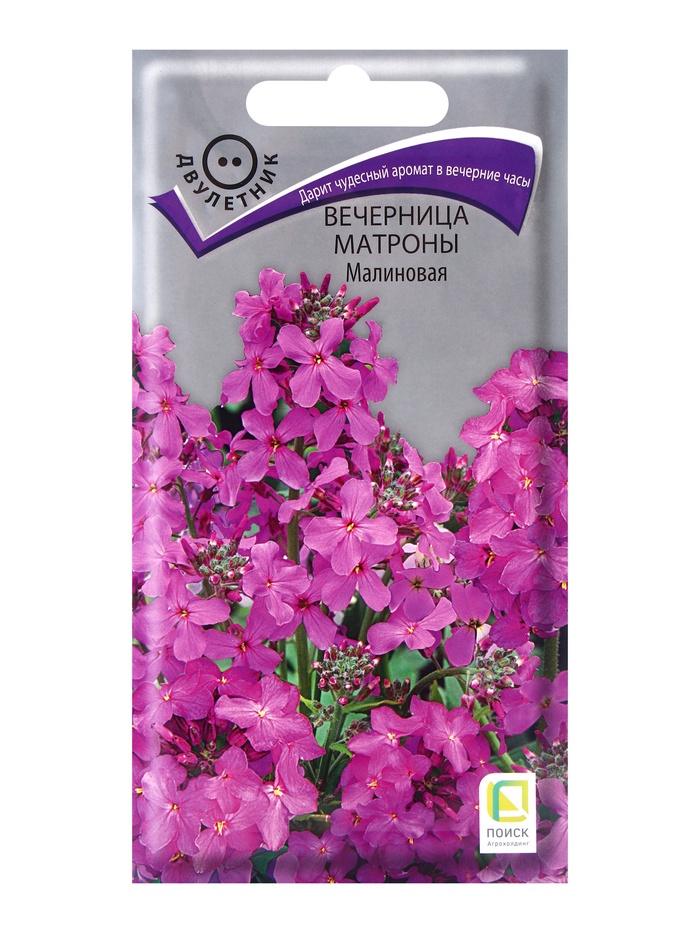 Семена цветов Вечерница Матроны, малиновая, 0.3 г, «Поиск» - Фото 1