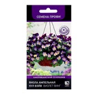 Семена цветов Виола ампельная «Кул Вэйв Виолет Винг», 5 шт., «Поиск» - Фото 1