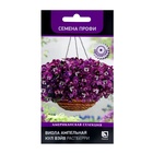 Семена цветов Виола ампельная Кул Вэйв Распберри, 5шт - Фото 1