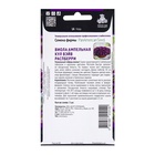 Семена цветов Виола ампельная Кул Вэйв Распберри, 5шт - Фото 2