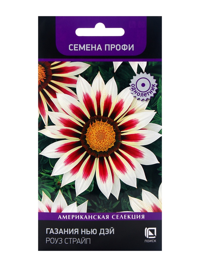 Семена цветов Газания Нью Дэй Роуз Страйп, для балкона, веранды, цветника, однолетник, низкорослая10 шт. - Фото 1