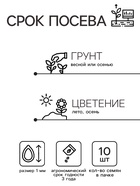 Семена цветов Дельфиниум высокий Мэджик Фонтэйнс Скай Блю Вайт Би, 10шт - Фото 2