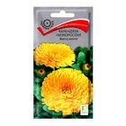 Семена цветов Календула низкорослая Фиеста желтая, 0,3гр - Фото 1