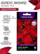 Семена цветов Колеус Визард Вельвет ред, 10шт - Фото 1