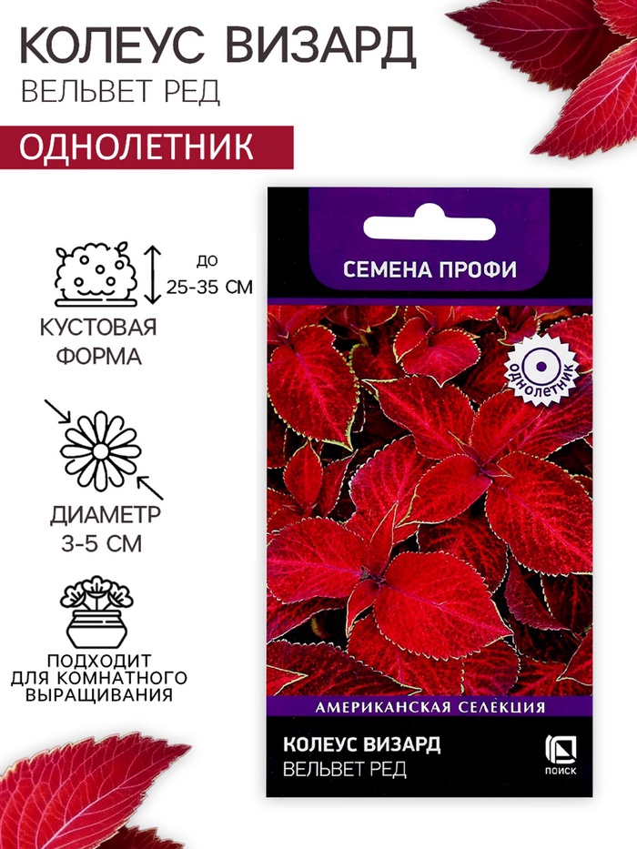 Семена цветов Колеус Визард Вельвет ред, 10шт - Фото 1