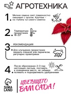 Семена цветов Колеус Визард Вельвет ред, 10шт 10849868 - фото 16290404