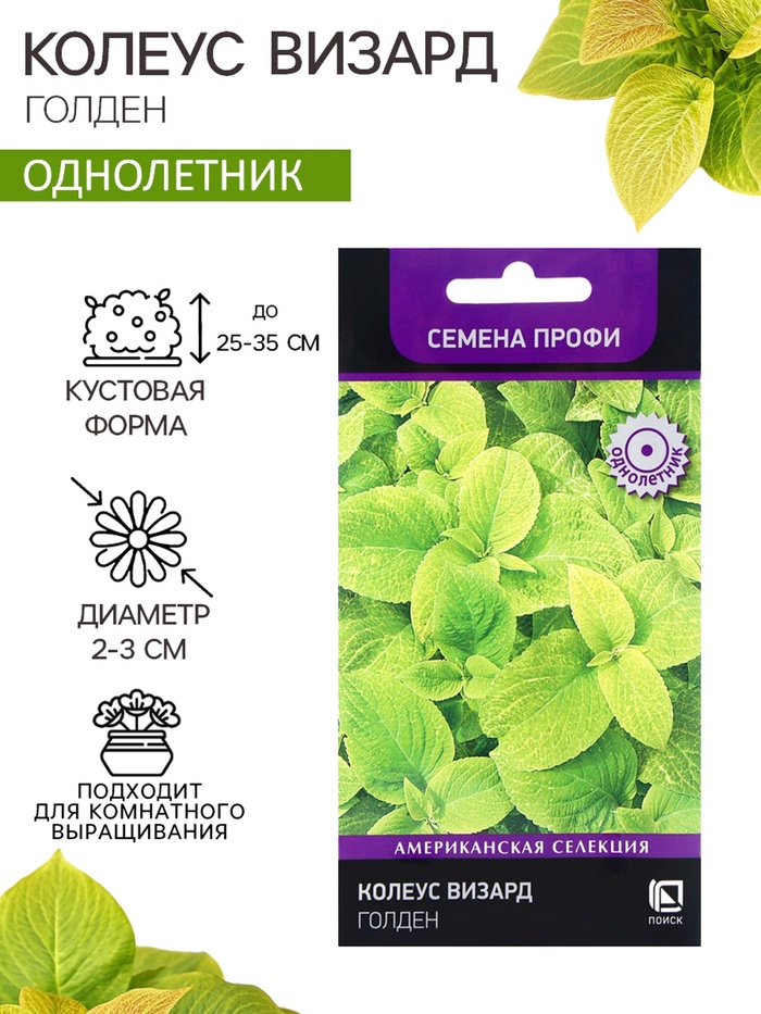 Семена цветов Колеус Визард Голден, 10шт - Фото 1