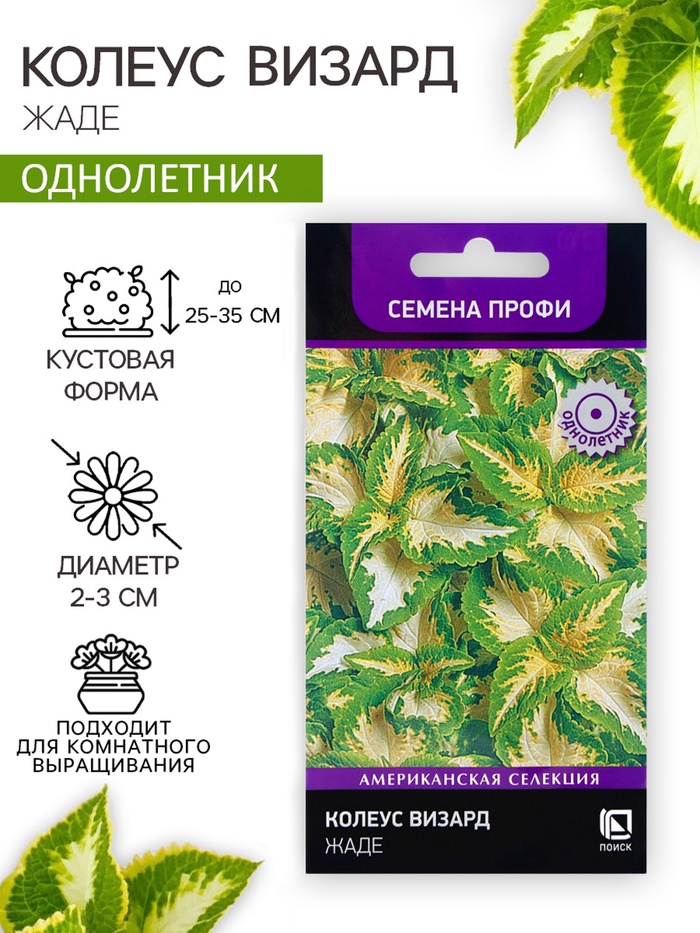 Семена цветов Колеус Визард Жаде, 10шт - Фото 1