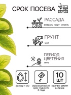 Семена цветов Колеус Визард Жаде, 10шт - Фото 2