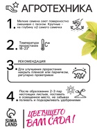 Семена цветов Колеус Визард Жаде, 10шт - Фото 3