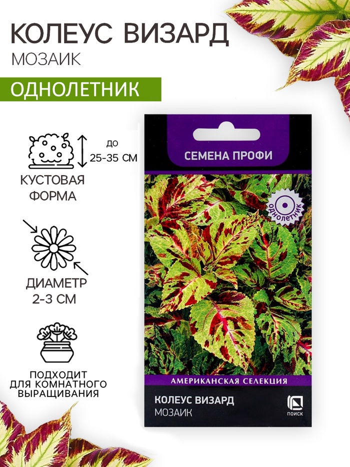 Семена цветов Колеус Визард Мозаик, 10шт - Фото 1