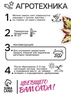Семена цветов Колеус Визард Мозаик, 10шт 10849872 - фото 16404865