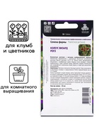 Семена цветов Колеус Визард Роуз, 10шт - Фото 3