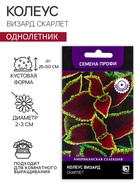 Семена цветов Колеус Визард Скарлет, 10шт - Фото 1