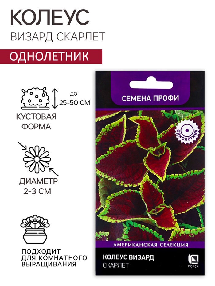 Семена цветов Колеус Визард Скарлет, 10шт - Фото 1